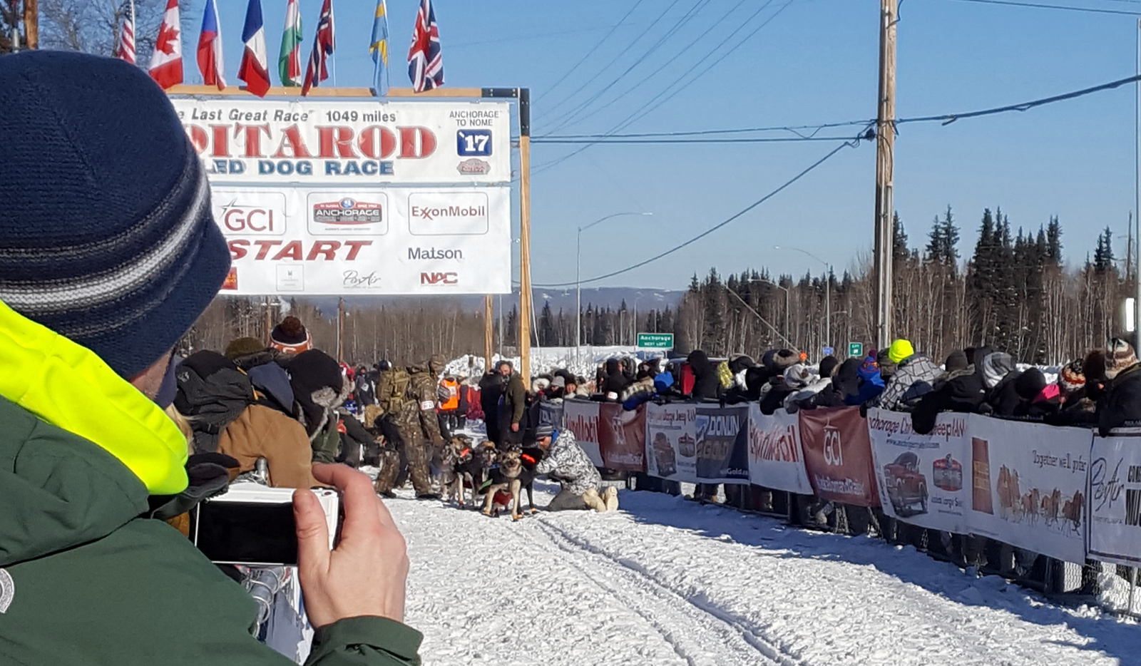 Iditarod dog sledding race start