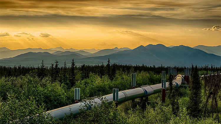 Things to do in Fairbanks - Image of Trans Alaska Pipeline